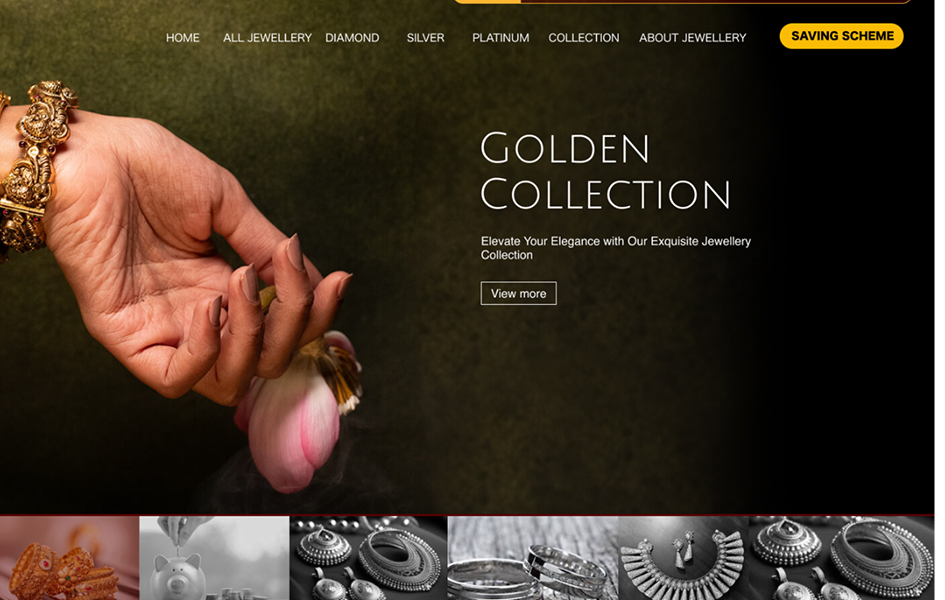 Custom web development project showcase